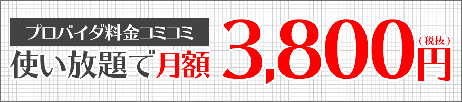 プロバイダ料コミコミ！12ヶ月間使い放題で月額1,800円（税抜）〜