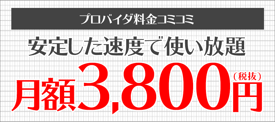 プロバイダ料コミコミ！12ヶ月間使い放題で月額1,800円（税抜）〜